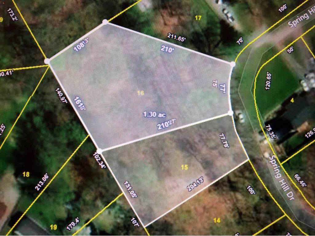 TBD Spring Hill - Photo 1