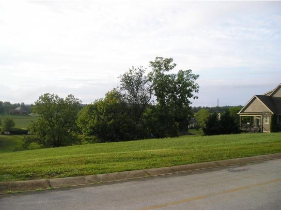 213 Forest Ct - Photo 1