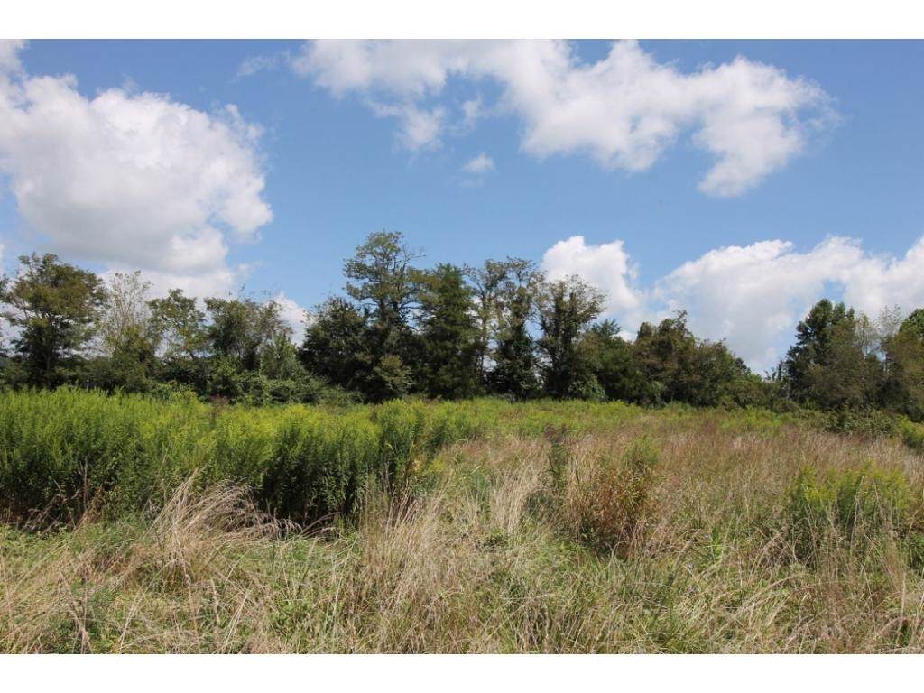 TBD Andrew Johnson Highway - Photo 1