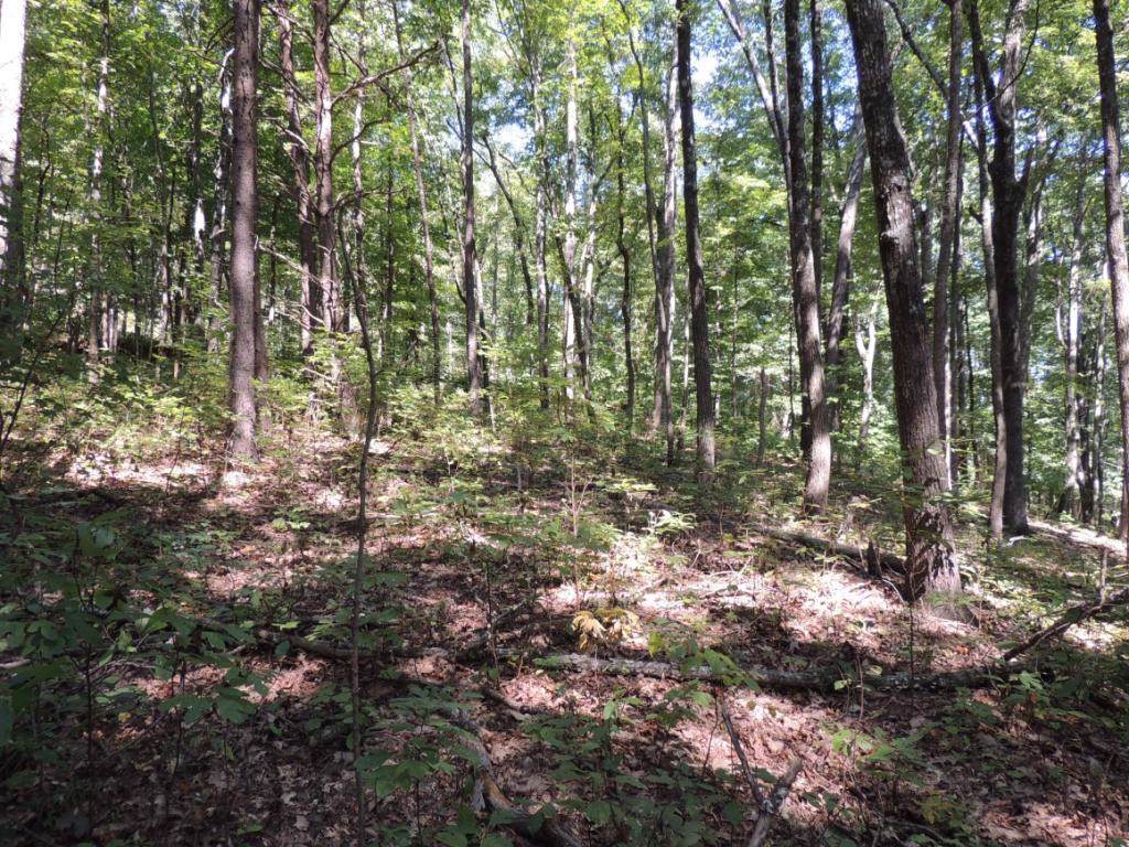 000 Hwy 66 - Photo 1