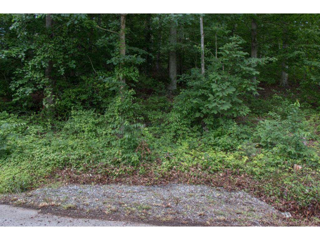 505 Piney Hill Road - Photo 1