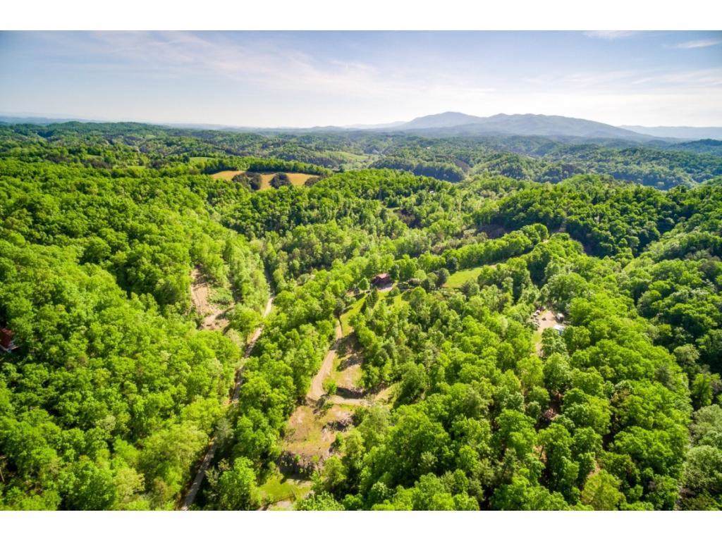 199 Chock Creek Road - Photo 1
