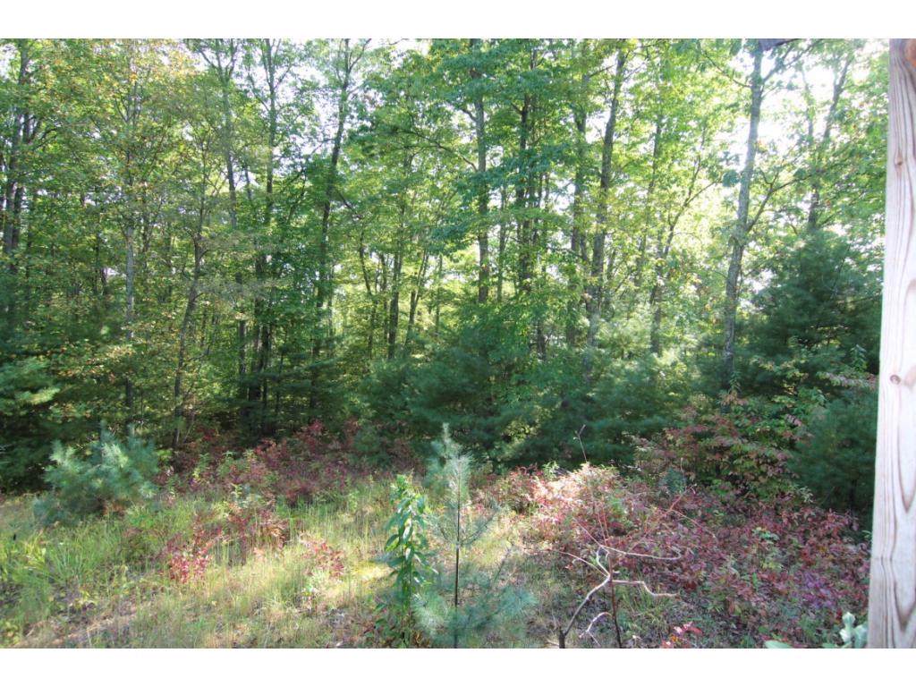 2183 Mining Town Road - Photo 1