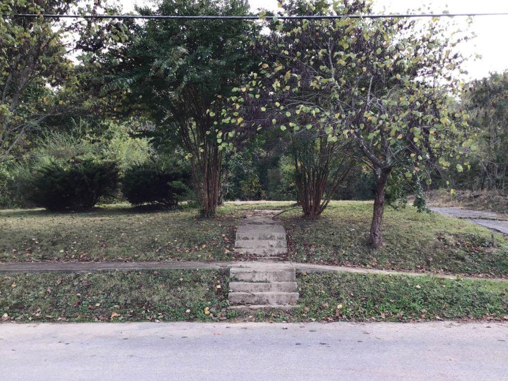 1020 Hill - Photo 1