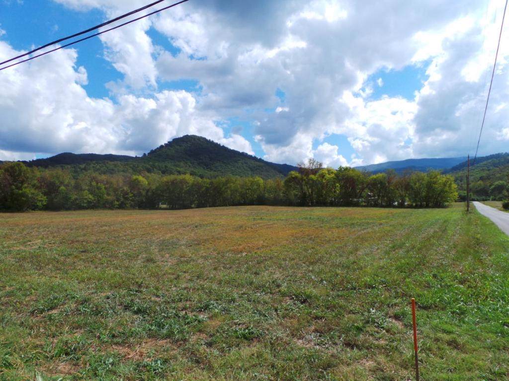 Lot 2 Highway 107/ Clarks Creek Road - Photo 1