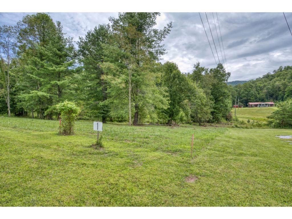 TBD Lot 1 Scioto Road - Photo 1