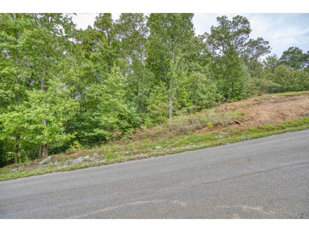 TBD Lot 50 Sciota Road - Photo 1