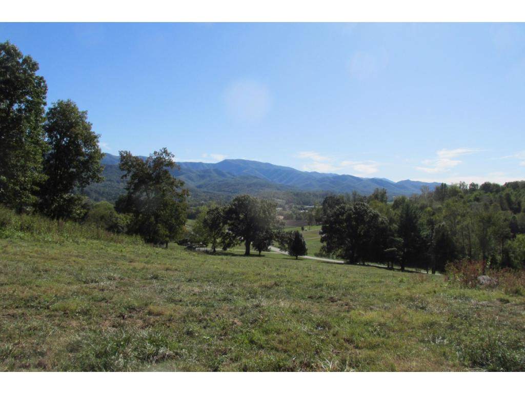 TBD Bailey Bridge Road - Photo 1
