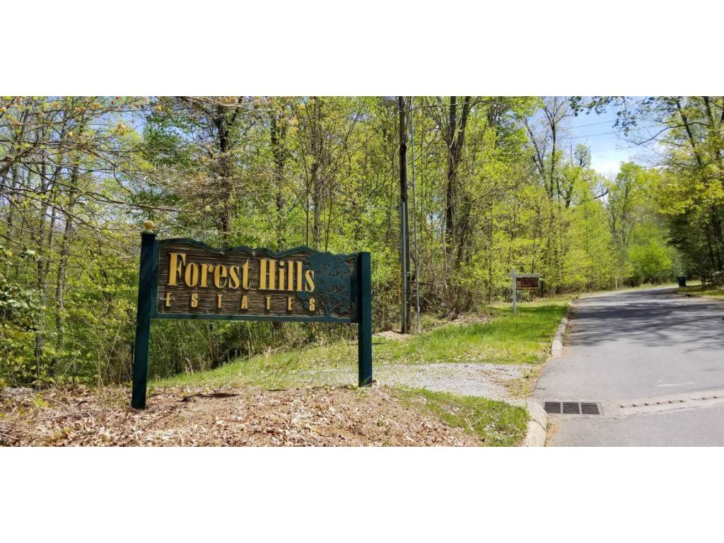 Tr 33 Mountain Laurel Court - Photo 1