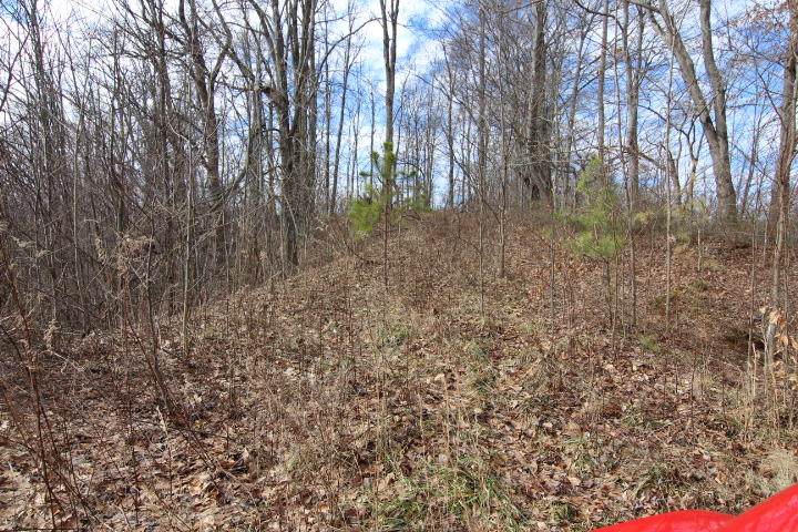 000 Of Highway 421 - Photo 1