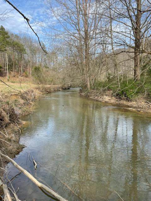 0 Spruce Pine - Photo 1