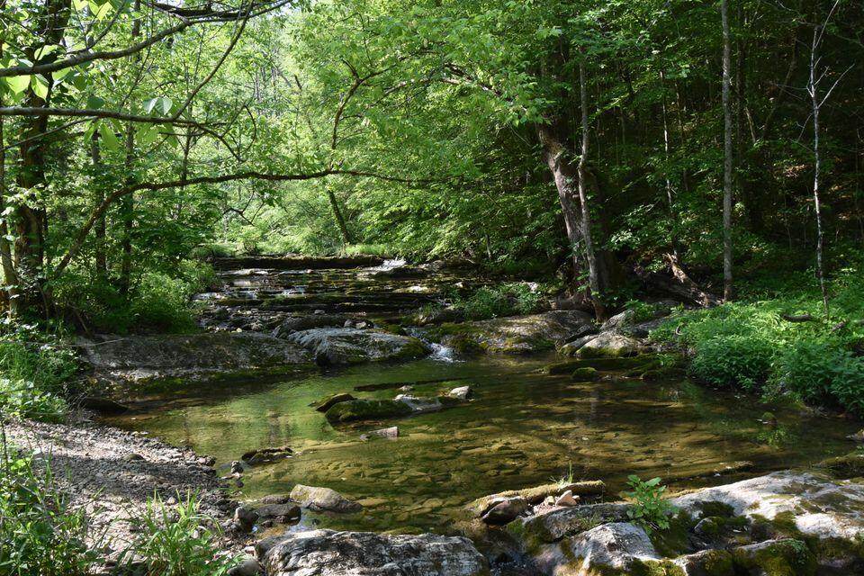 00 Elrod Falls Road - Photo 1