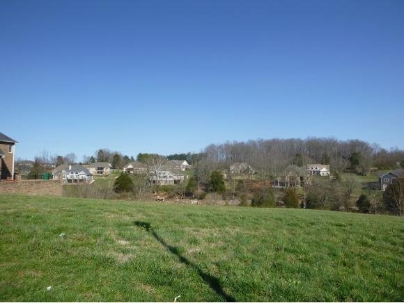205 Forest Court, Lot 3 - Photo 1