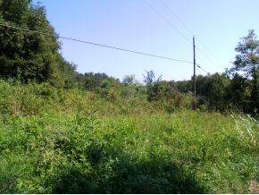Lot 1 Poplar Springs Road - Photo 1