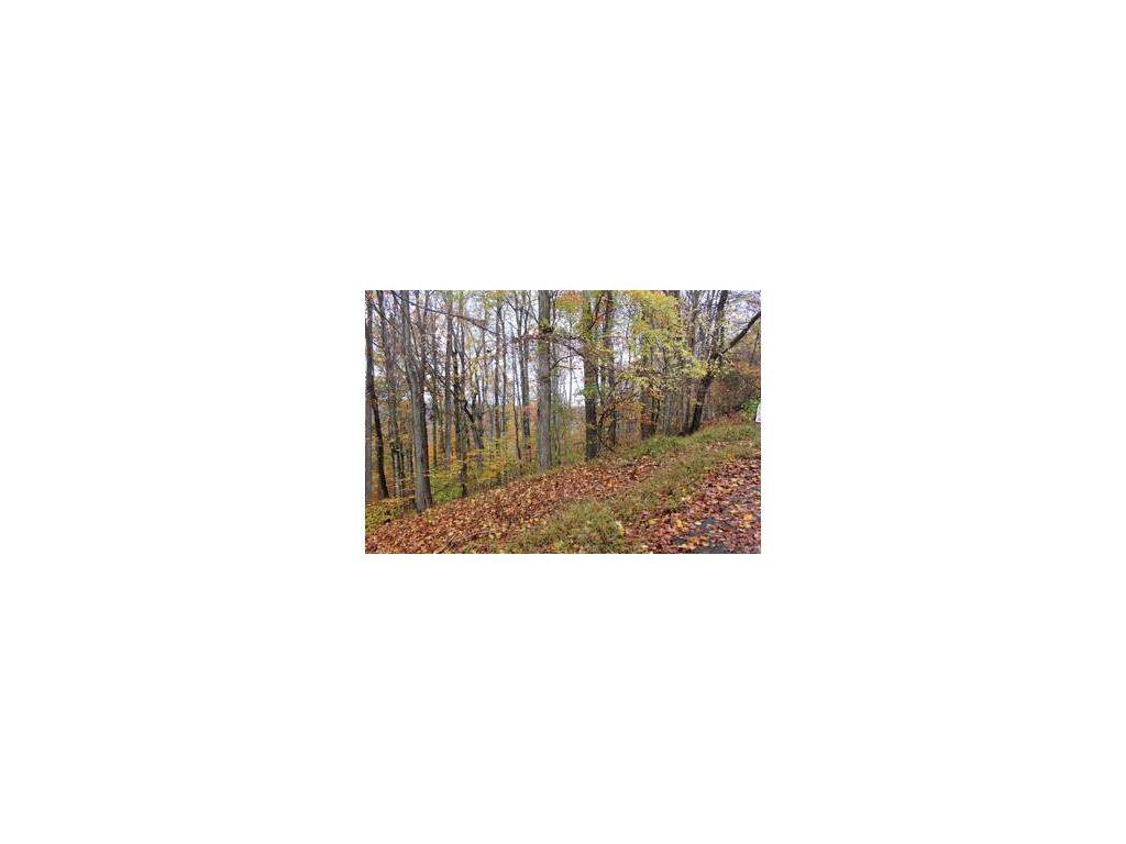 5149 Foxfire Trail - Photo 1