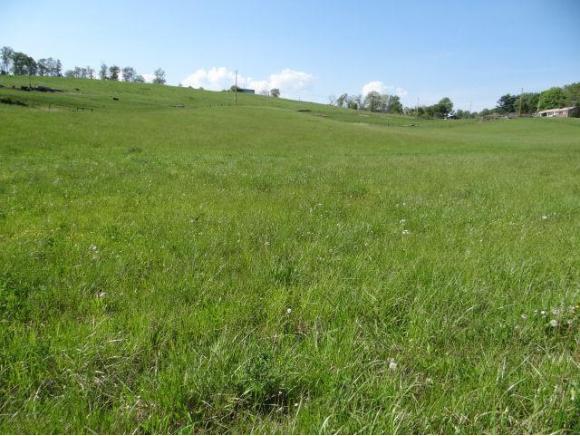 0 Lot 5 Celebrity Lane - Photo 1