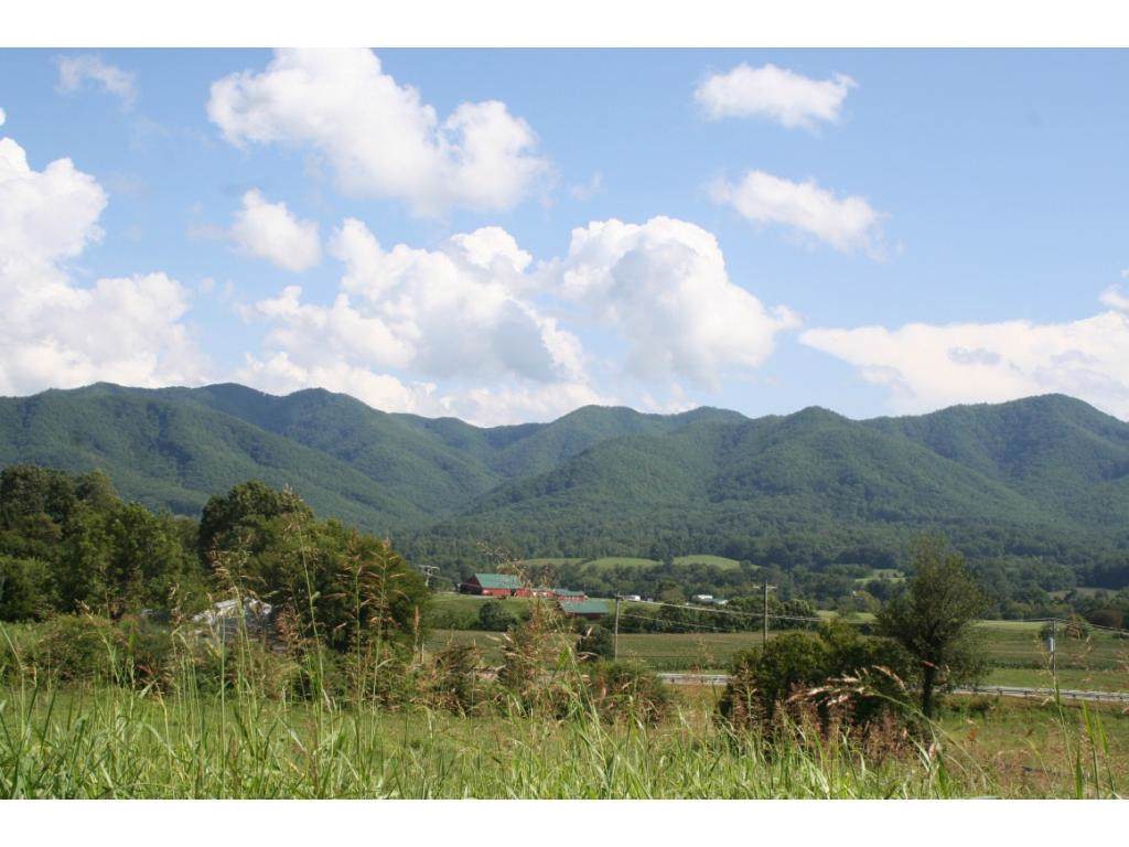 2007 Bailey Bridge Road - Photo 1