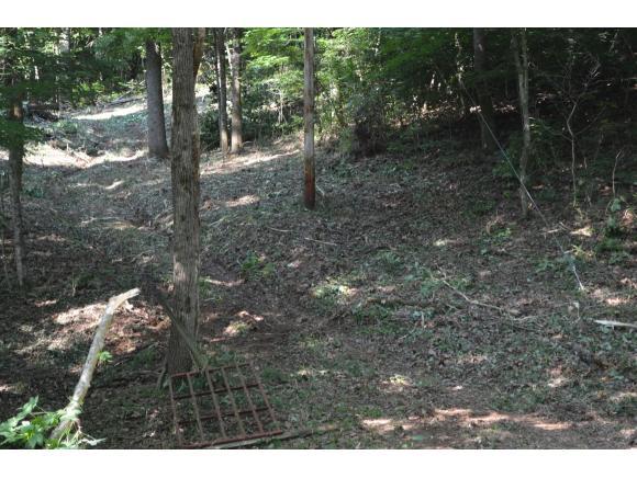 265 Mccarty Hollow Road - Photo 1