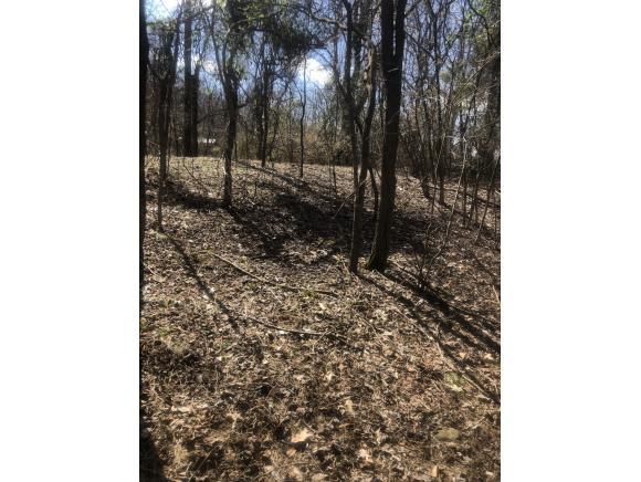 TBD Gottland Shoals Rd - Photo 1