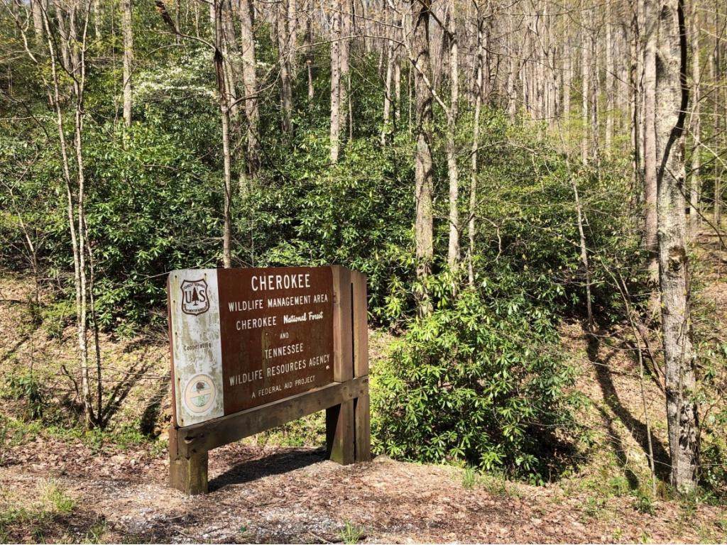 Lot 61 Wilderness Road - Photo 1