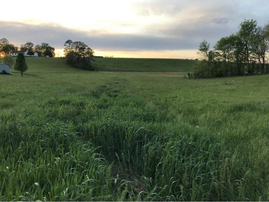 L 5,9,10 Love Hollow Rd - Erwin Highway - Photo 1