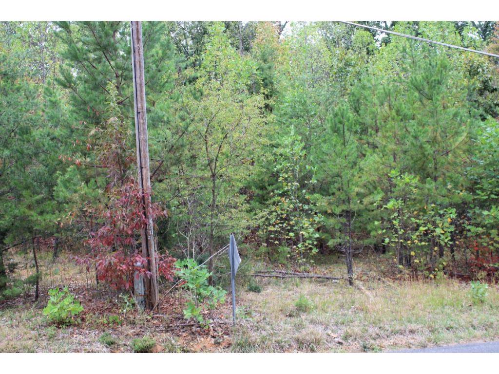 TBD Oak Grove - Photo 1