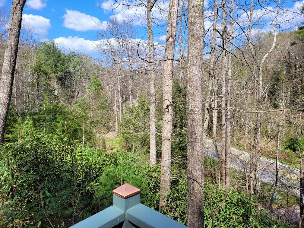 13525 Asheville Highway - Photo 1