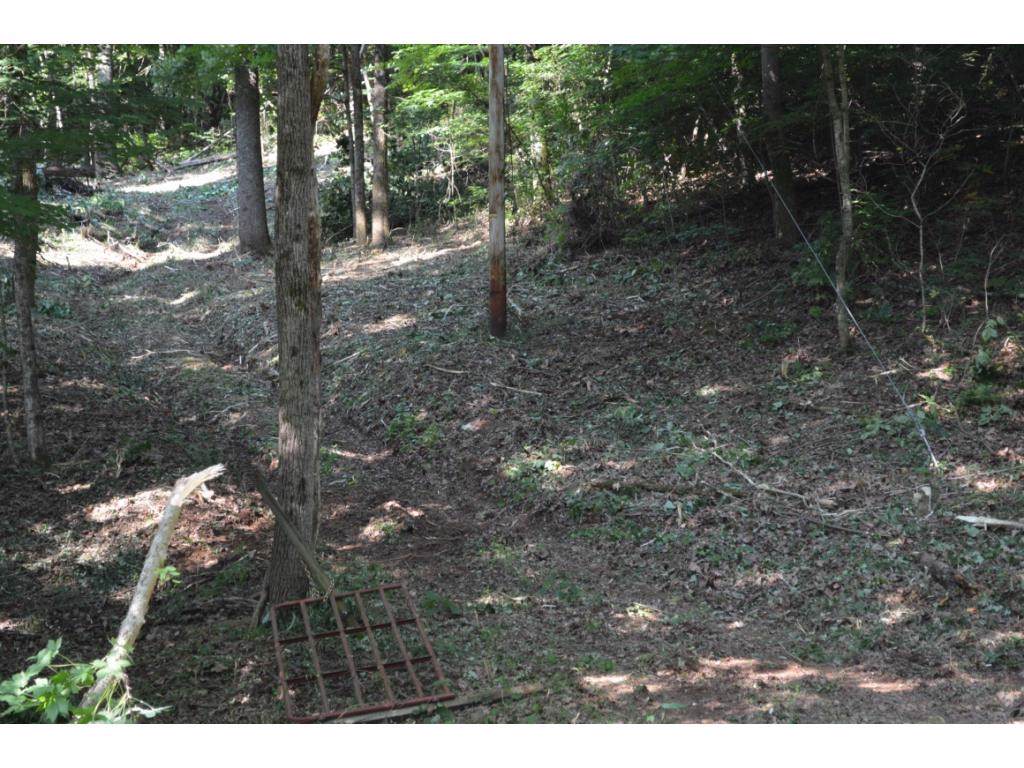 265 Mccarty Hollow Road - Photo 1