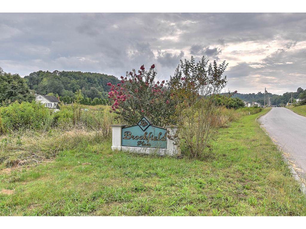 176 Hunters Run Lane - Photo 1