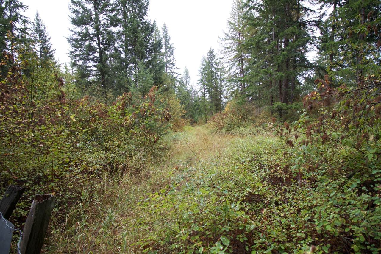 3378 Hill Loop Rd - Photo 1