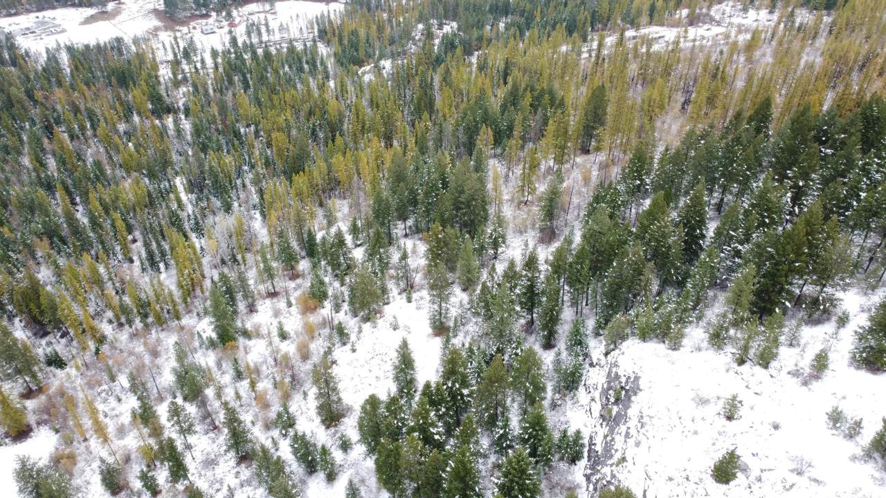 TBD Larkspur Rd - Photo 1