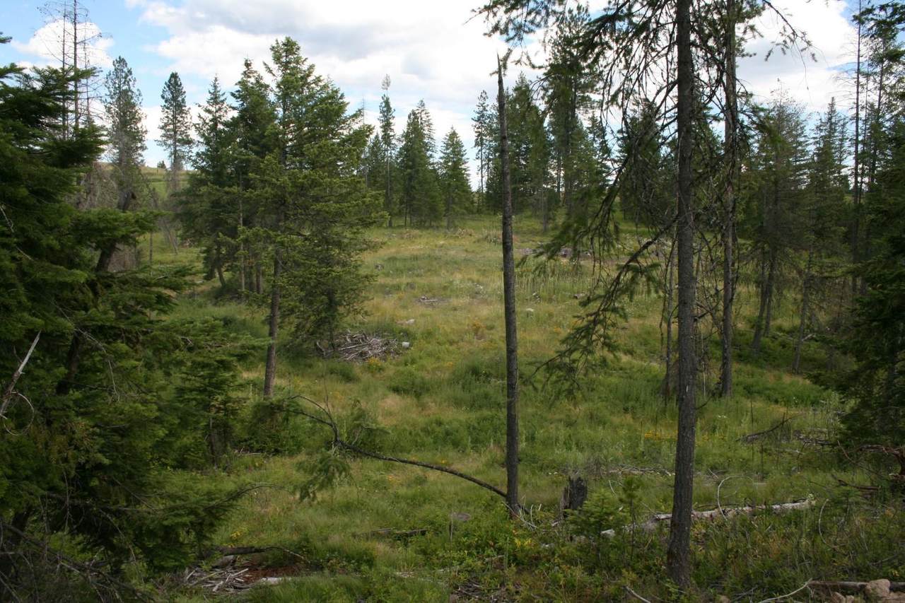 00 Olinger Rd - Photo 1