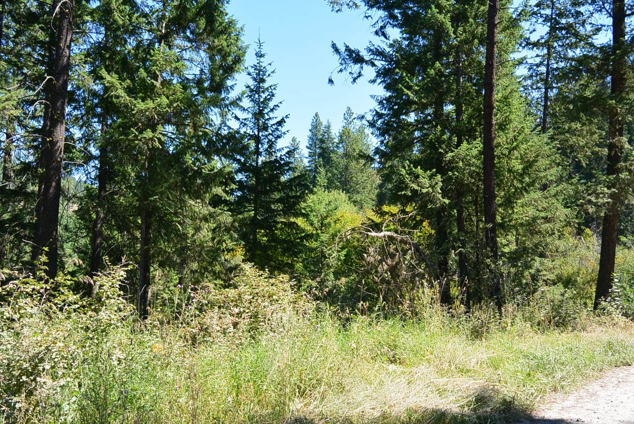 16XX Bonanza Hill Rd - Photo 1