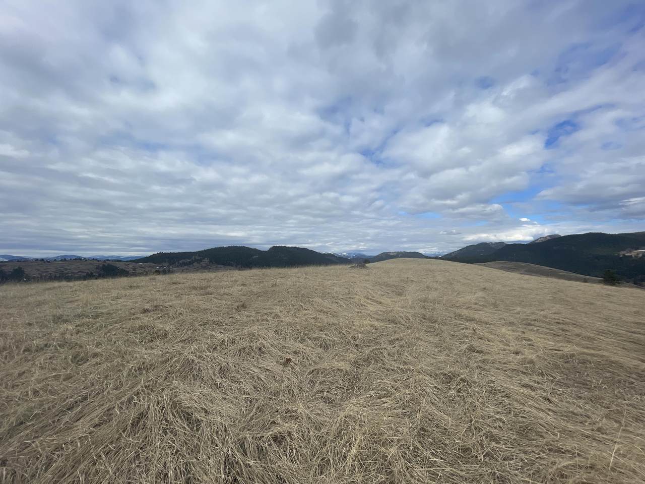 18XX Brooks Rd - Photo 1
