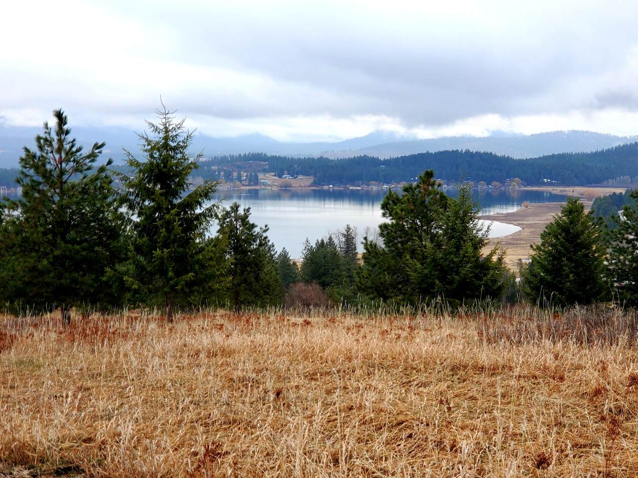 34XX Waitts Lake Rd - Photo 1