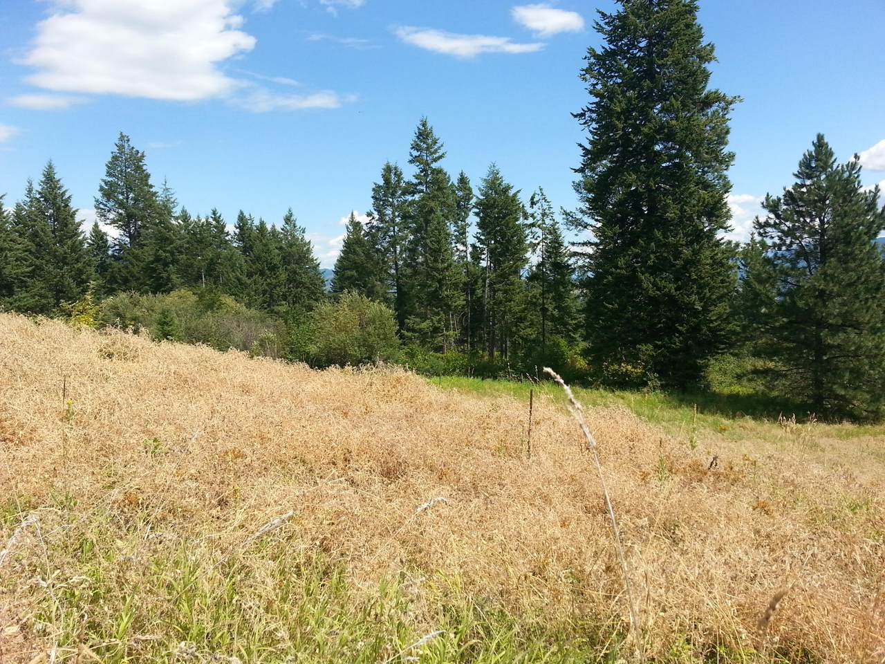 3378 J Hill Loop Rd - Photo 1