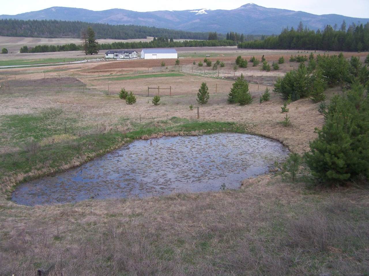 NKN Lilljard Rd - Photo 1