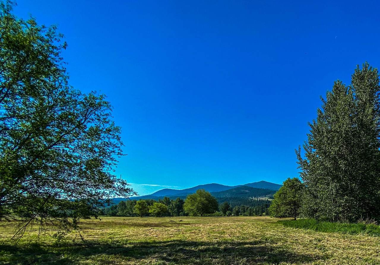 XXX-LOT 1 Hwy 395 - Photo 1