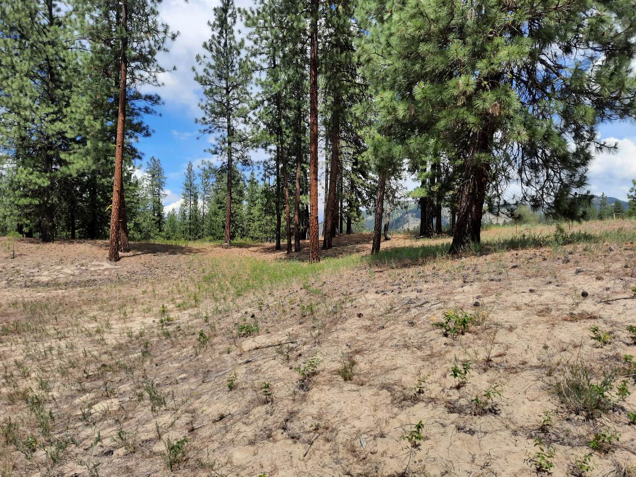 1180 Hwy 25 - Photo 1