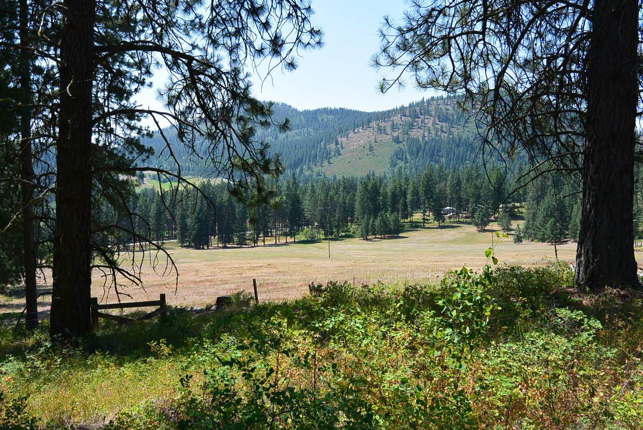 26XX Quarry - Browns Lake Rd - Photo 1