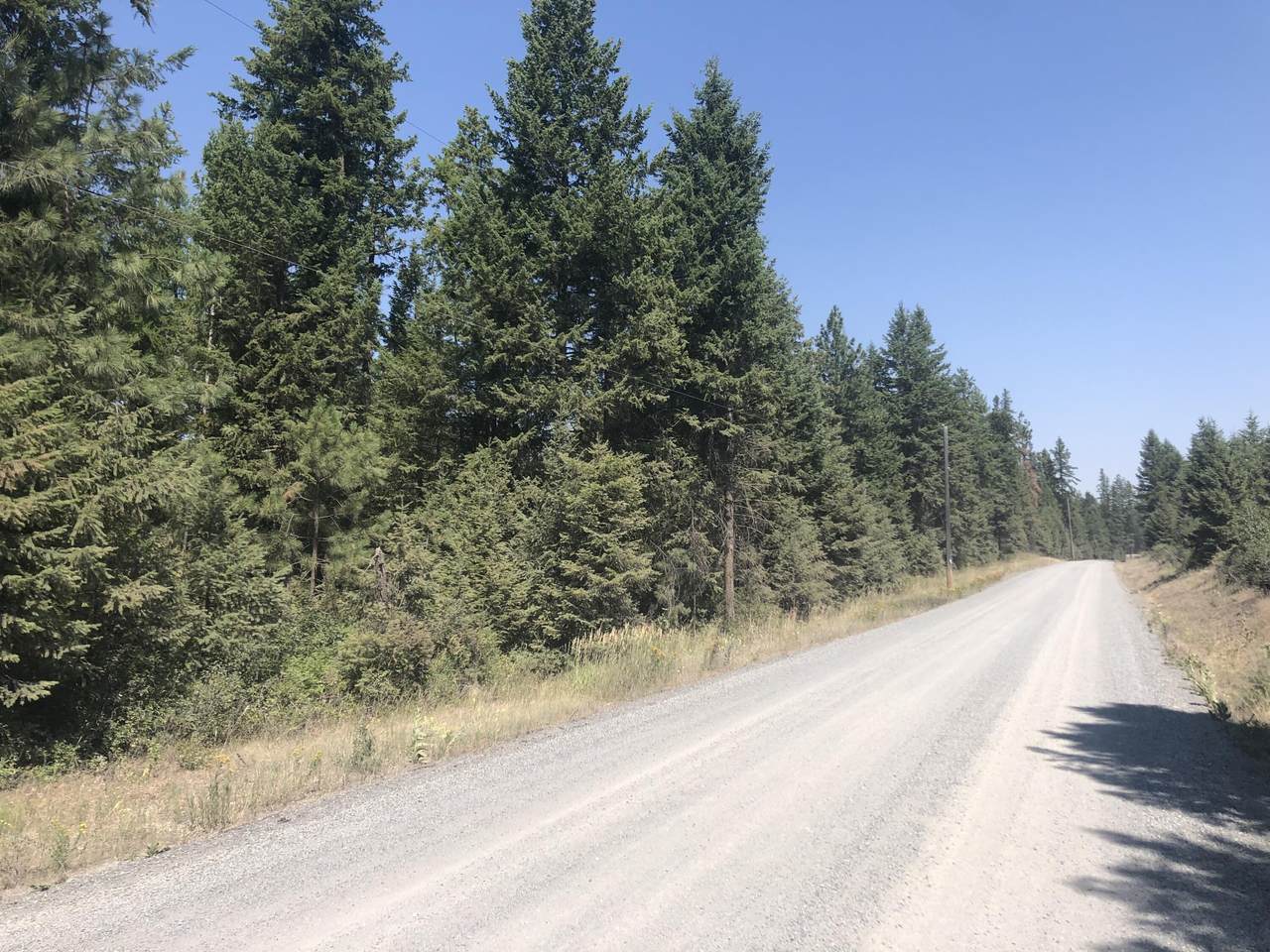 XXX Jump Off Joe Rd - Photo 1