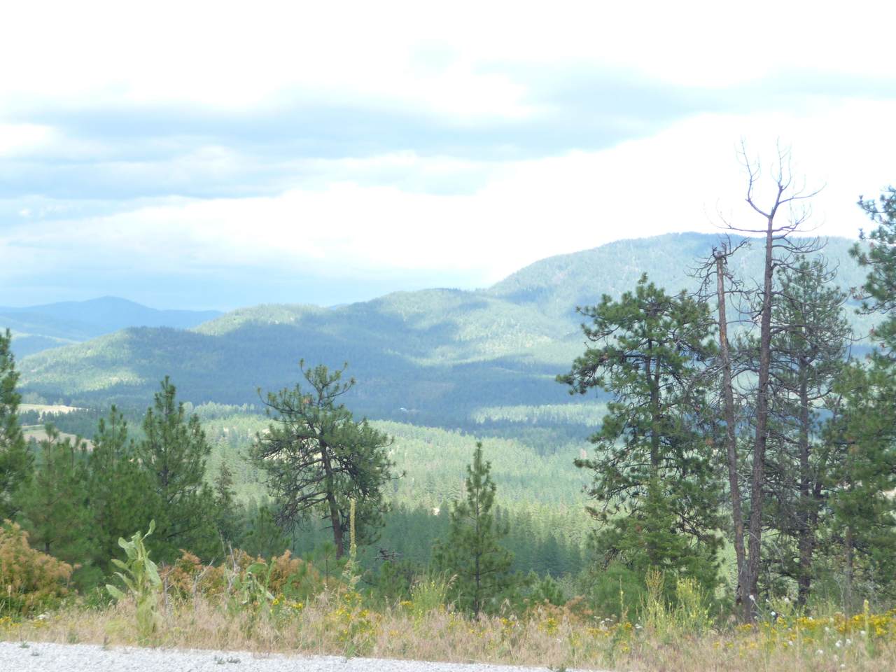 XXX Palmer Ln - Photo 1