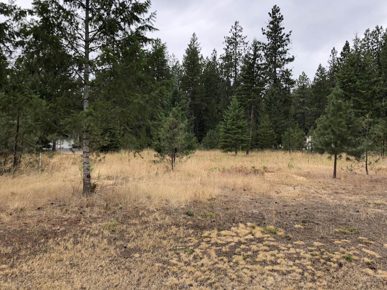 107 Trappers Loop - Photo 1
