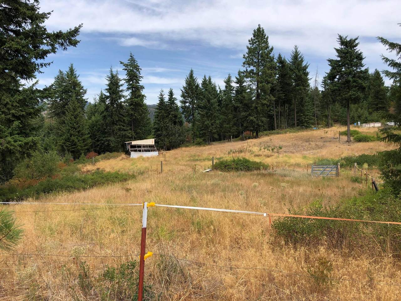 1763 Hwy 395 S D & J - Photo 1