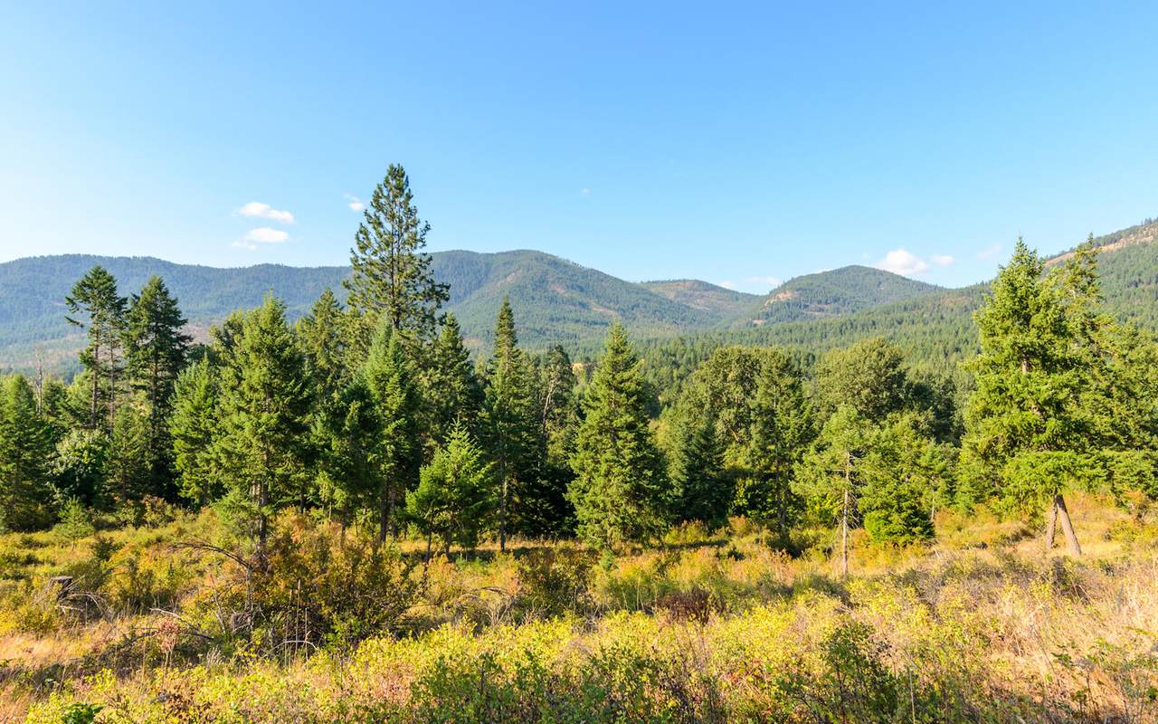 19XX Swiss Valley Rd - Photo 1