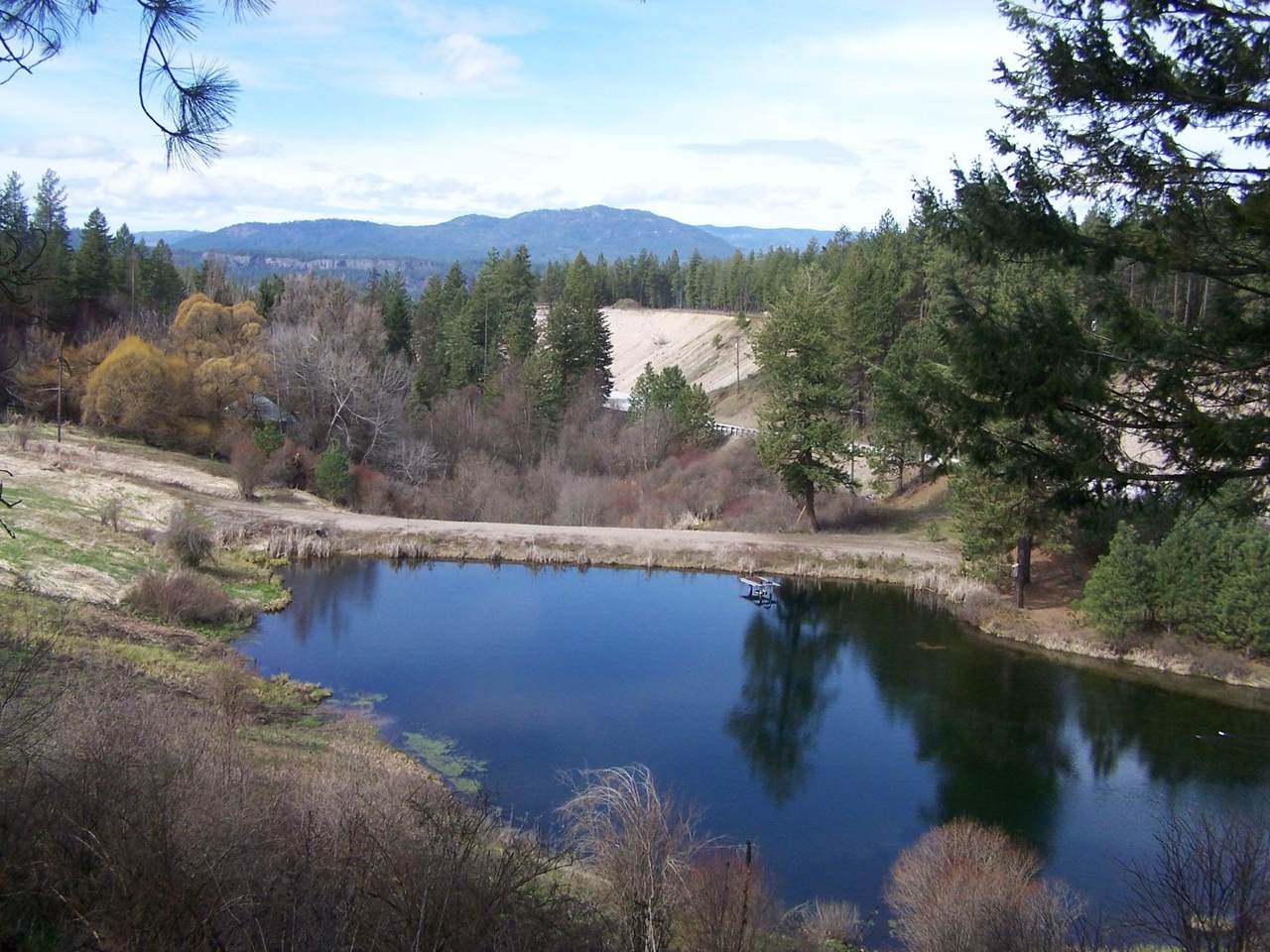 3199 Bulldog Creek Rd - Photo 1
