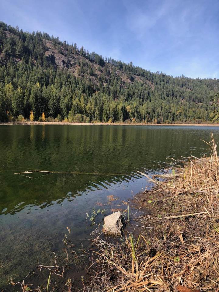 TBD Phalon Lake Rd - Photo 1