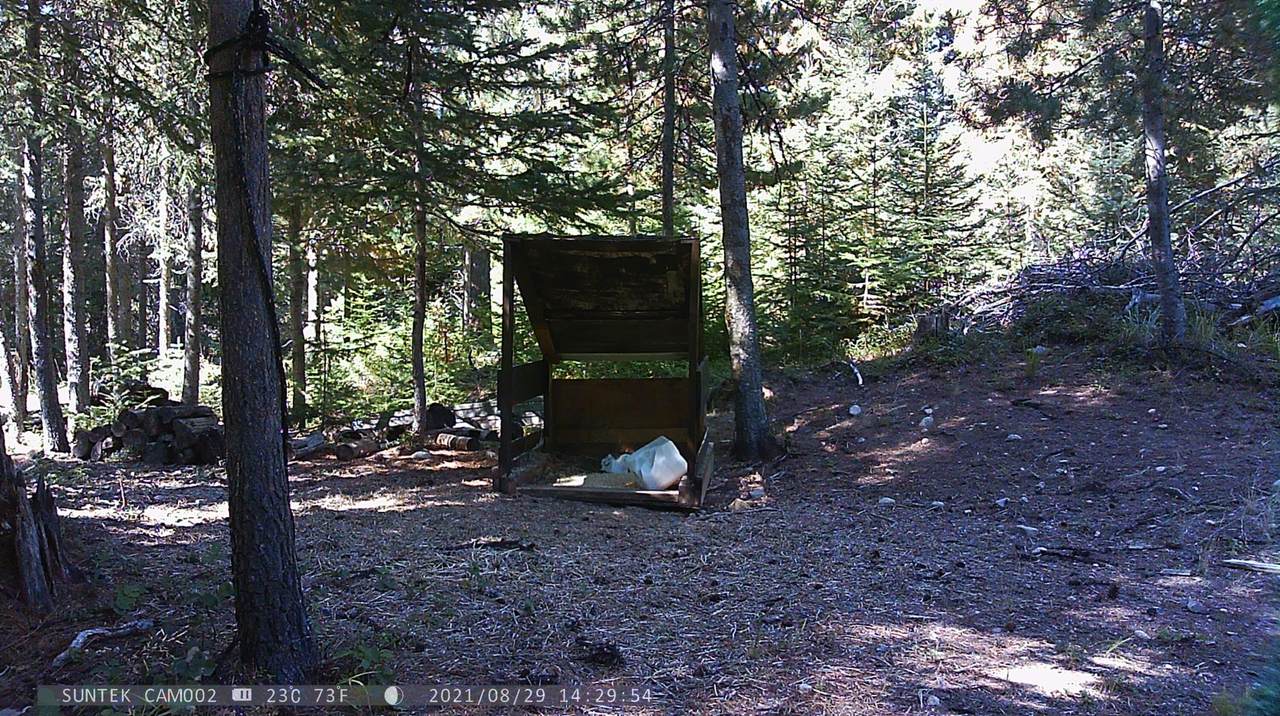 18XX #2 Hwy 25 N - Photo 1