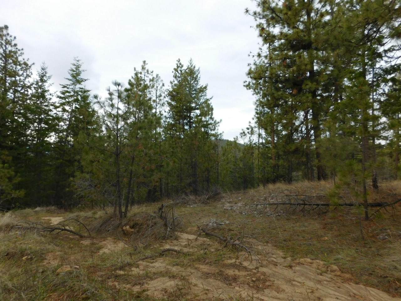 XXX Coyote Canyon Rd - Photo 1