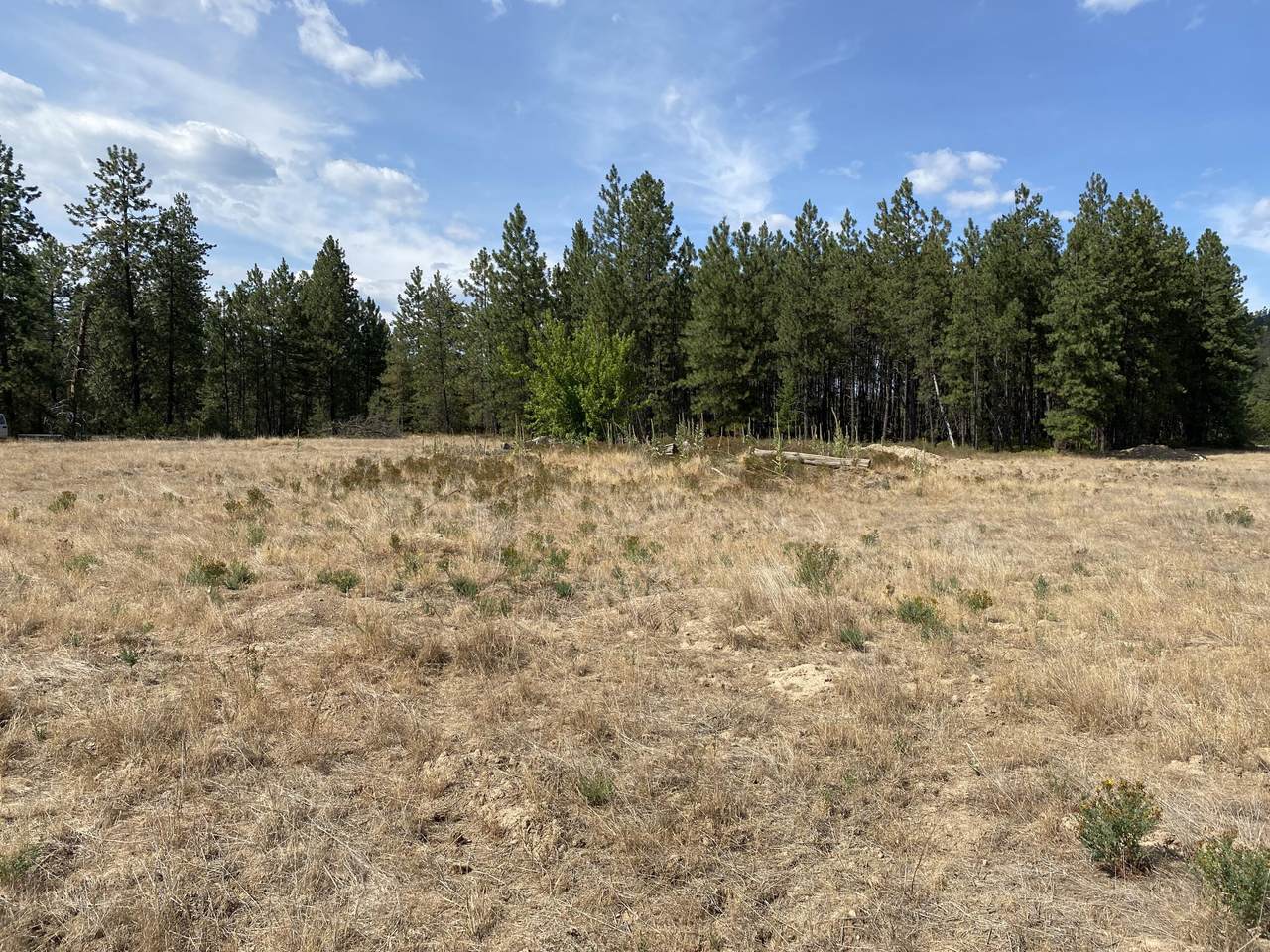 LOT #1 Xxxx Hwy 231 - Photo 1